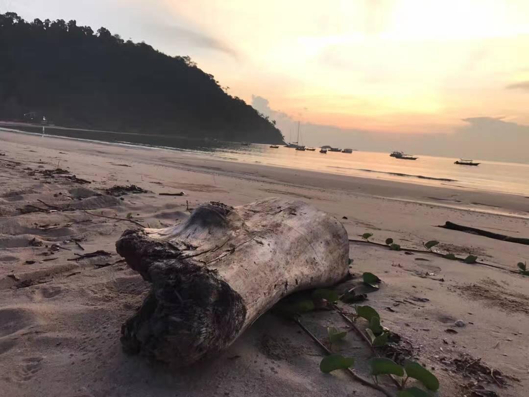 Juara Bay Resort Tioman Eksteriør billede